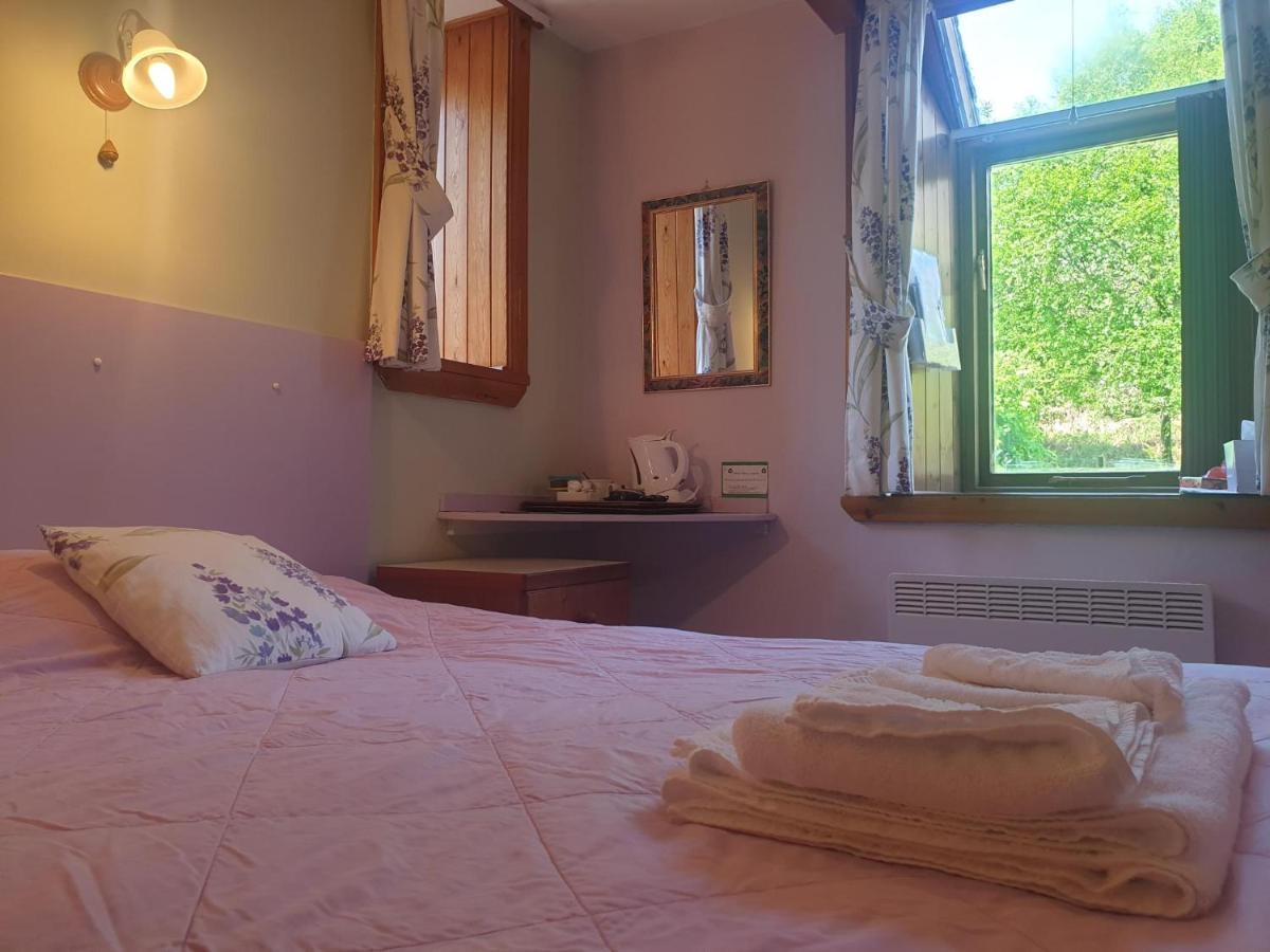 Bryn Elltyd Eco House Guest House Blaenau Ffestiniog Eksteriør bilde