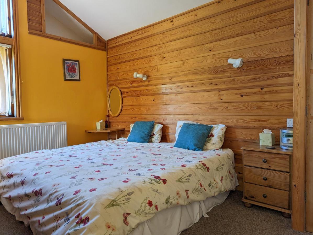 Bryn Elltyd Eco House Guest House Blaenau Ffestiniog Eksteriør bilde