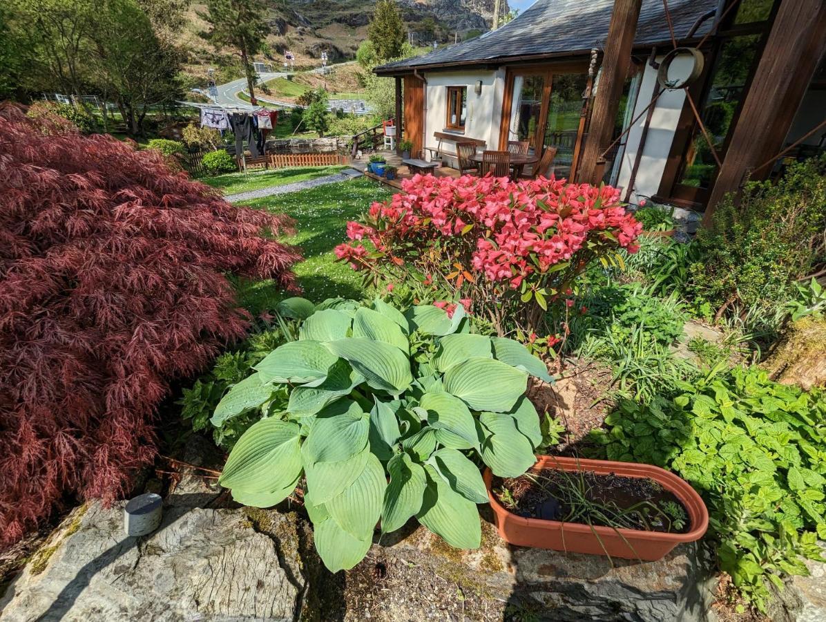 Bryn Elltyd Eco House Guest House Blaenau Ffestiniog Eksteriør bilde