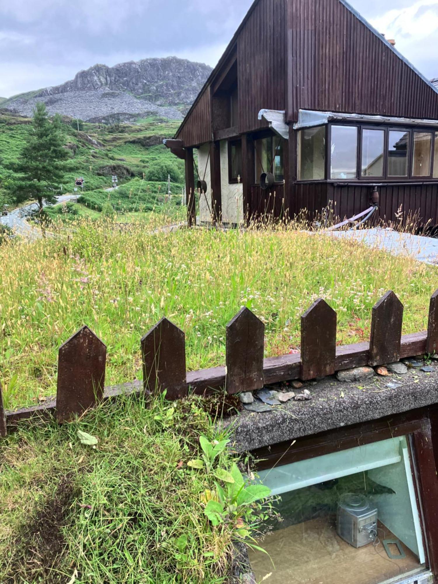 Bryn Elltyd Eco House Guest House Blaenau Ffestiniog Eksteriør bilde