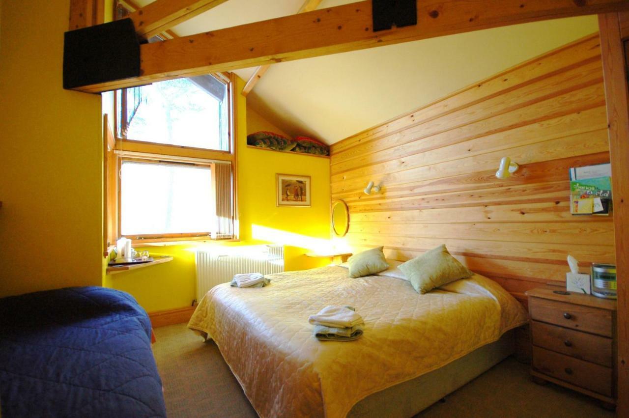 Bryn Elltyd Eco House Guest House Blaenau Ffestiniog Eksteriør bilde